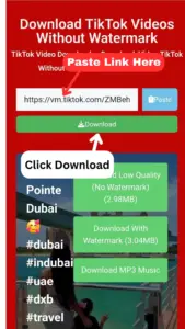 Tiktok Video Download
